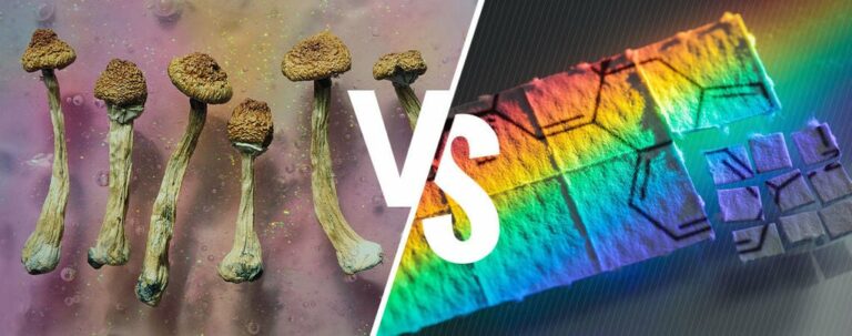 shroom vs lsd